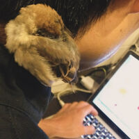 ブログ
