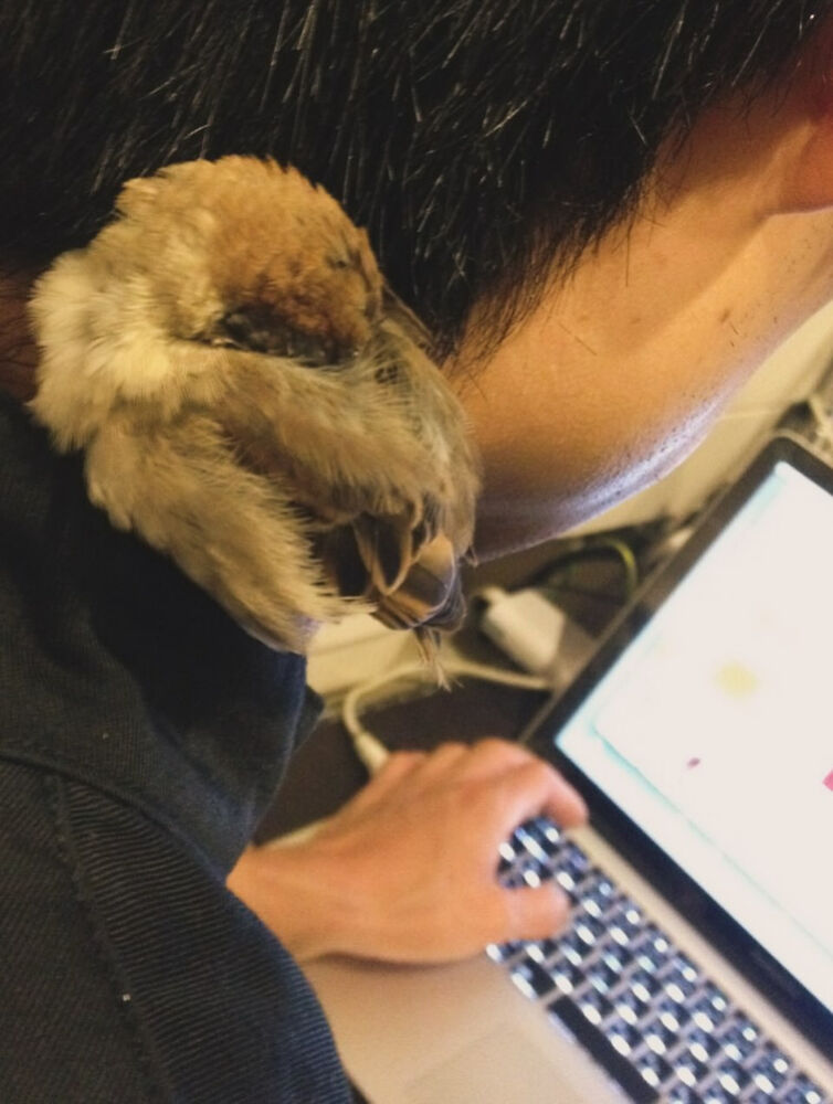 ブログ