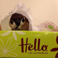 ブログ